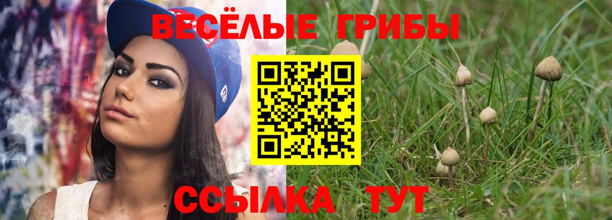 Салехард  Галлюциногенные грибы ЛСД  Вход с VPN  Галлюциногенные грибы прущие грибы 