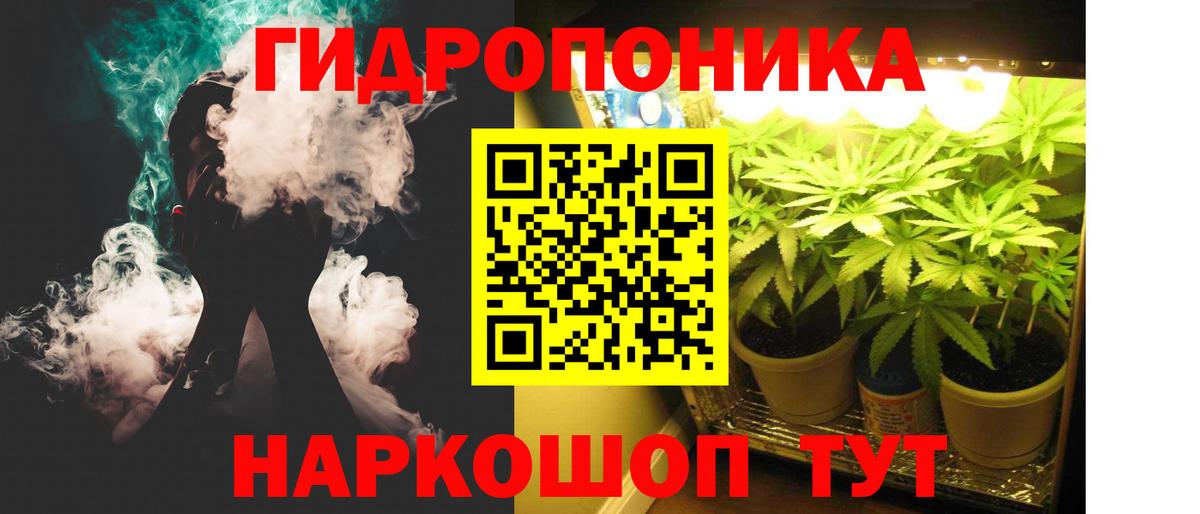 Бошки Шишки тримм Салехард